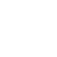 fulgar logo